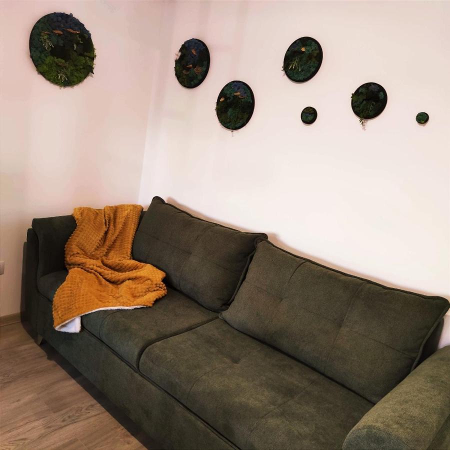 Cozy Studio Daire Braşov Dış mekan fotoğraf