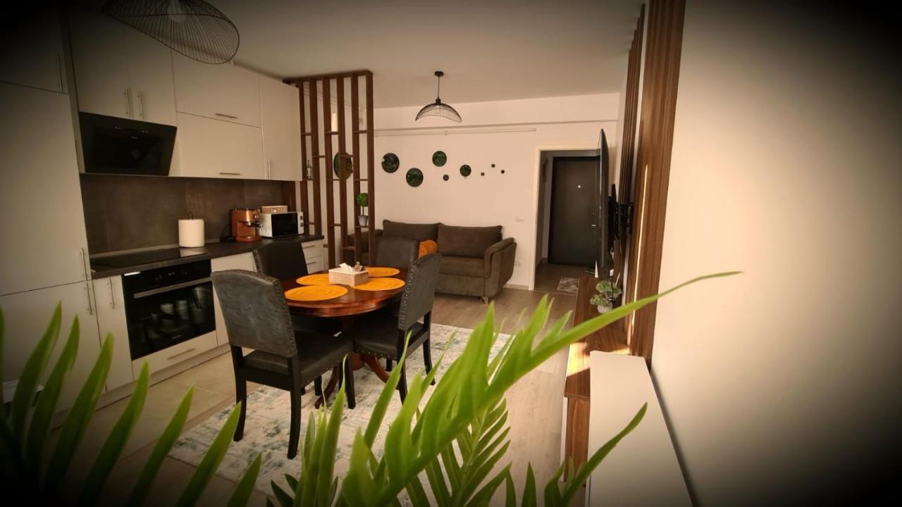 Cozy Studio Daire Braşov Dış mekan fotoğraf
