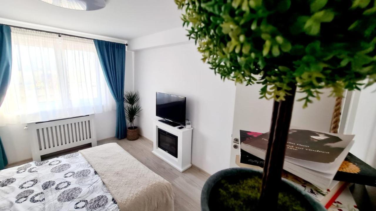 Cozy Studio Daire Braşov Dış mekan fotoğraf