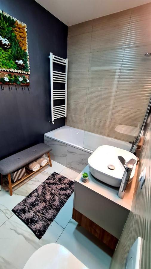 Cozy Studio Daire Braşov Dış mekan fotoğraf